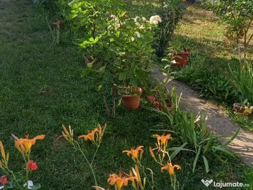 Casa P+ 1 zona centrala independent energetic