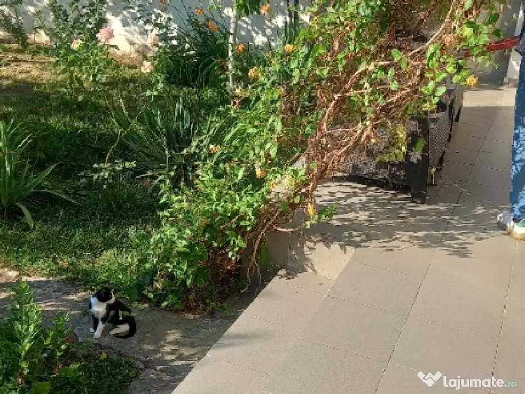 Casa P+ 1 zona centrala independent energetic