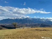 TEREN INTRAVILAN SIRNEA/ 4000 MP/ 