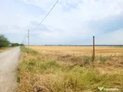 Teren 8.812mp- Magurele- Dumitrana, Autostrada 0 