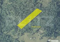 Teren 11.144 mp, pădure, Campulug Moldovenesc
