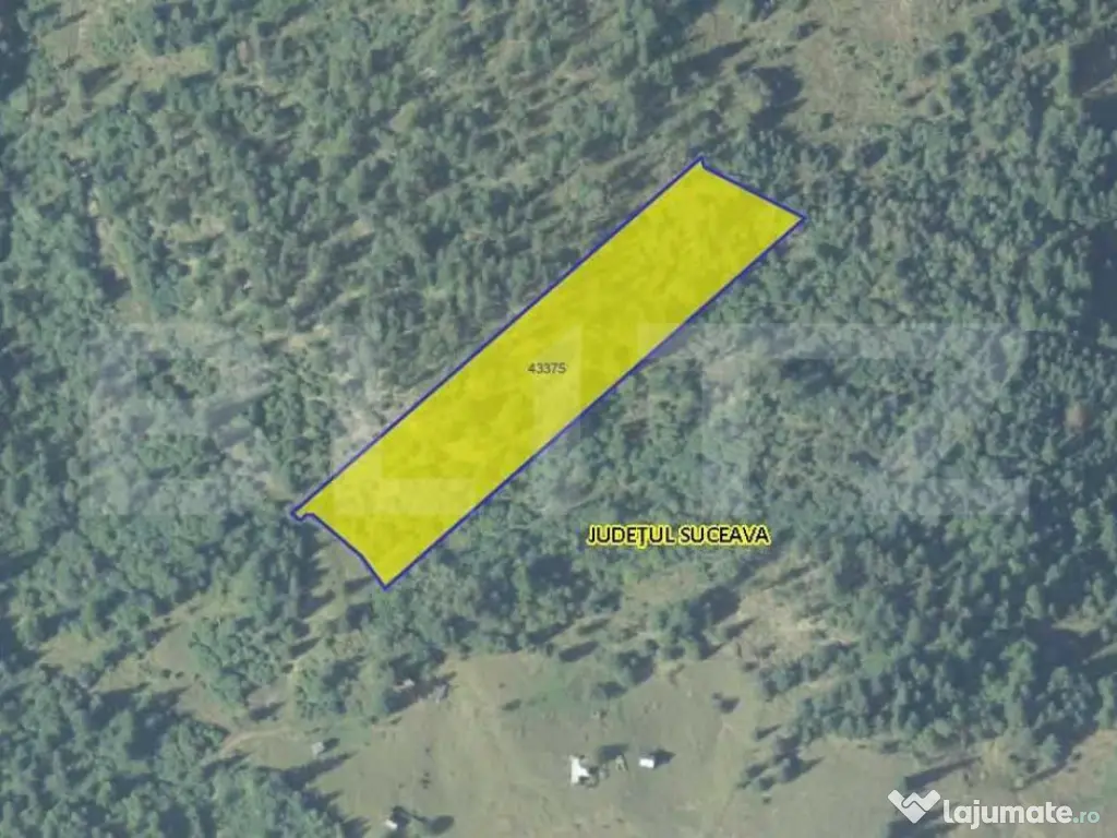 Teren 11.144 mp - Campulug Moldovenesc