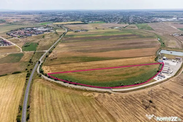 Teren de vânzare 3 ha in Arad - Arad (Arad)