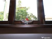 Apartament 2 camere central Brasov