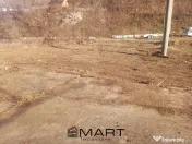 Teren extravilan 7432 mp, cu cabana de lemn Capalna AB 