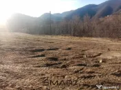 Teren extravilan 7432 mp, cu cabana de lemn Capalna AB 