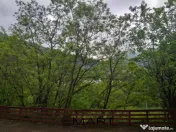 Teren extravilan 7432 mp, cu cabana de lemn Capalna AB 