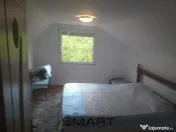 Teren extravilan 7432 mp, cu cabana de lemn Capalna AB 