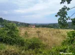Tomesti 1900 mp. intravilan