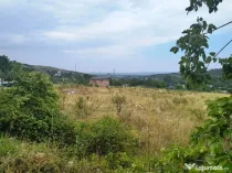 Tomesti 1900 mp. intravilan