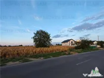 Teren intravilan pentru constructii stradal, 2965 mp, cu toa