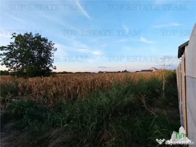 Teren intravilan pentru constructii stradal, 2965 mp, cu toa