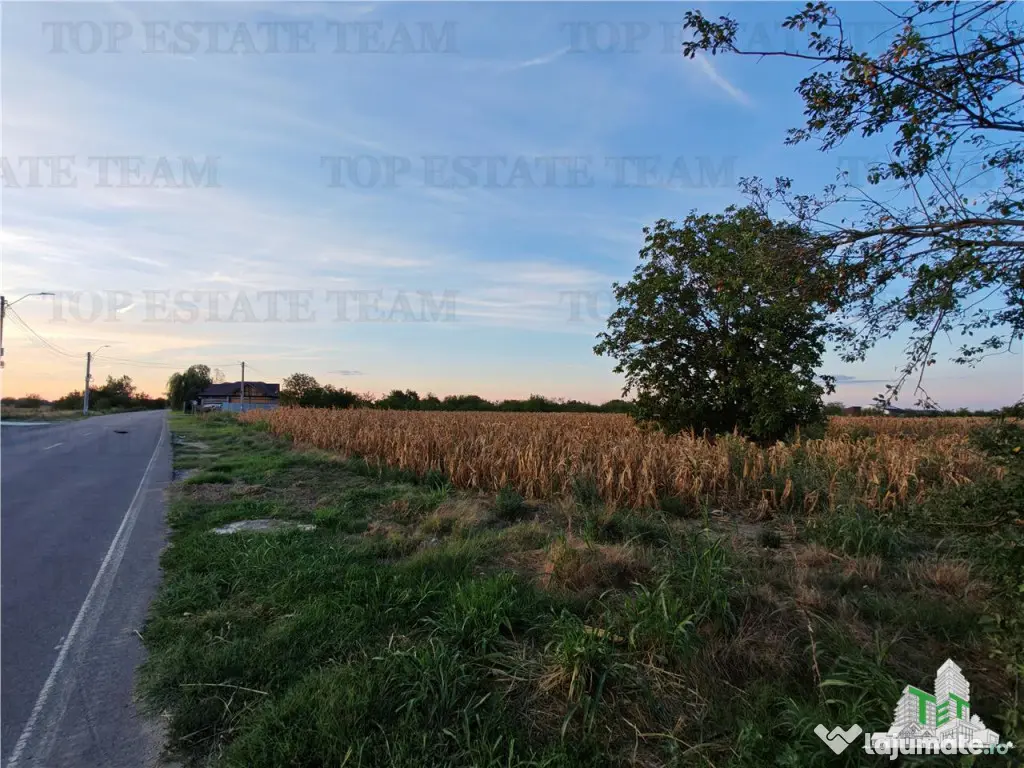 Teren intravilan pentru constructii stradal, 2965 mp, cu toa