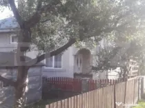 Casă Bucșoaia, Frasin