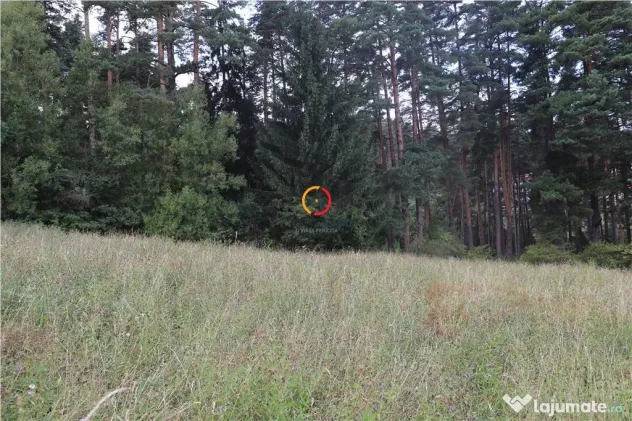 Teren intravilan cu PUZ si PUD 2 loturi