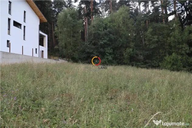 Teren intravilan cu PUZ si PUD 2 loturi
