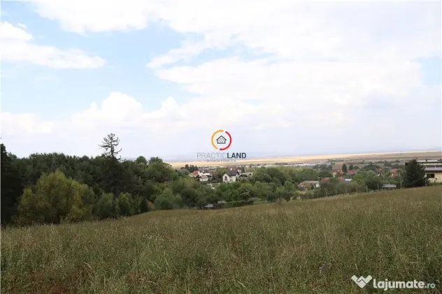 Teren intravilan cu PUZ si PUD 2 loturi