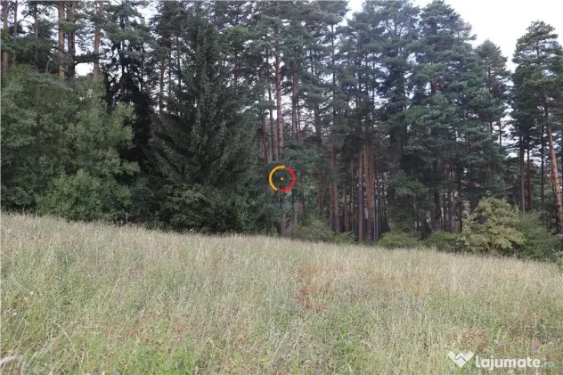 Teren intravilan cu PUZ si PUD 2 loturi