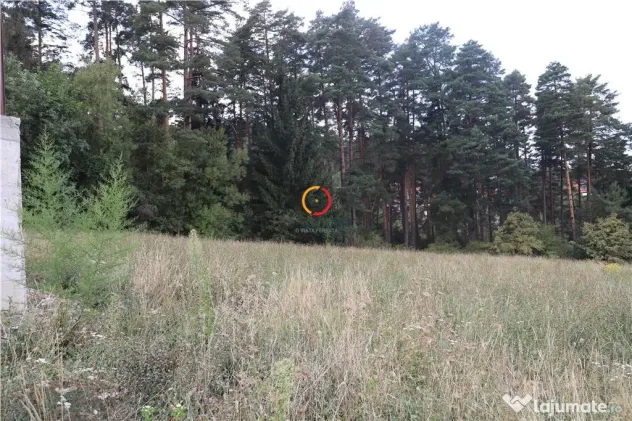 Teren intravilan cu PUZ si PUD 2 loturi