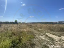 Teren zona Magic Trivale intravilan 1040 mp