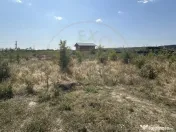 Teren zona Magic Trivale intravilan 1040 mp 