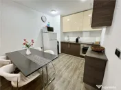 Apartament confortabil 3 cam Silver Mountain 