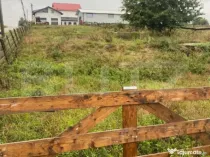 Teren Intravilan ,900mp , Sf. Ilie Vechi