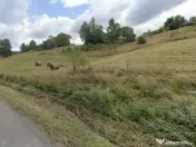 Teren intravilan Rosia, 12 000 mp, cu proiect aprobat. Co... 