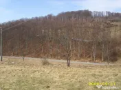 Teren intravilan Rosia, 12 000 mp, cu proiect aprobat. Co... 