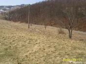 Teren intravilan Rosia, 12 000 mp, cu proiect aprobat. Co... 