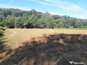 Teren intravilan de 1856 mp in Avrig zona Valea Avrigului 
