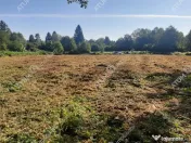 Teren intravilan de 1856 mp in Avrig zona Valea Avrigului 