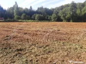 Teren intravilan de 1856 mp in Avrig zona Valea Avrigului 