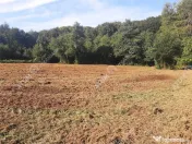Teren intravilan de 1856 mp in Avrig zona Valea Avrigului 