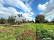 Livada+gradina, teren intravilan 2902mp, Damienesti-Bacau... 