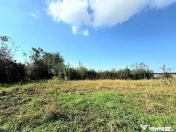 Livada+gradina, teren intravilan 2902mp, Damienesti-Bacau...