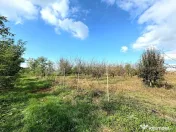 Livada+gradina, teren intravilan 2902mp, Damienesti-Bacau... 