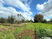 Livada+gradina, teren intravilan 2902mp, Damienesti-Bacau... 
