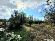 Livada+gradina, teren intravilan 2902mp, Damienesti-Bacau... 