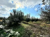 Livada+gradina, teren intravilan 2902mp, Damienesti-Bacau... 