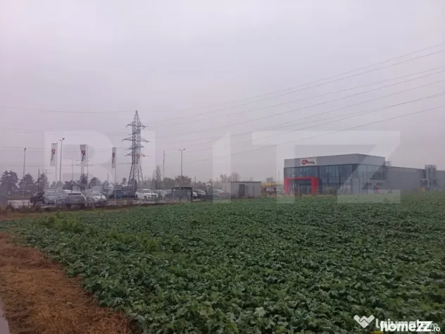 Teren industrial, 15000 mp, Zona Lido Garbea, Ytong. - Paulesti (Prahova)