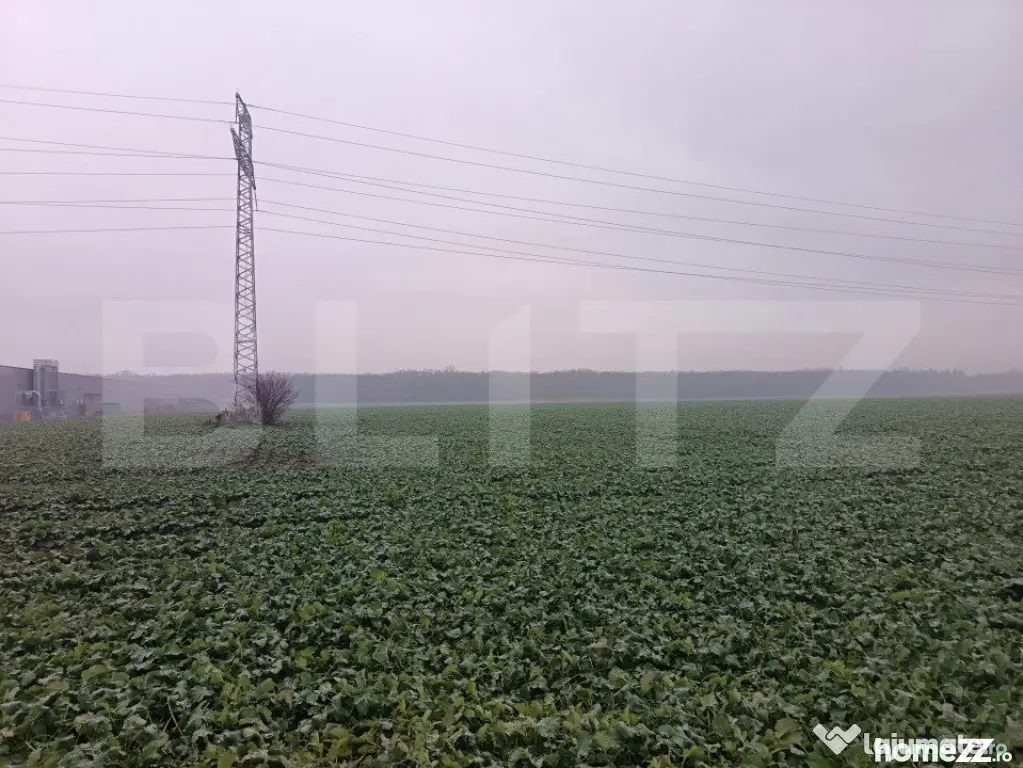 Teren industrial, 15000 mp, Zona Lido Garbea, Ytong. - Paulesti (Prahova)