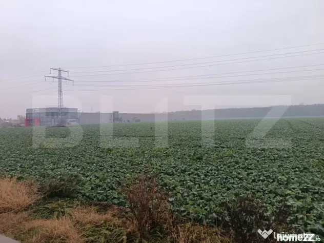 Teren industrial, 15000 mp, Zona Lido Garbea, Ytong. - Paulesti (Prahova)