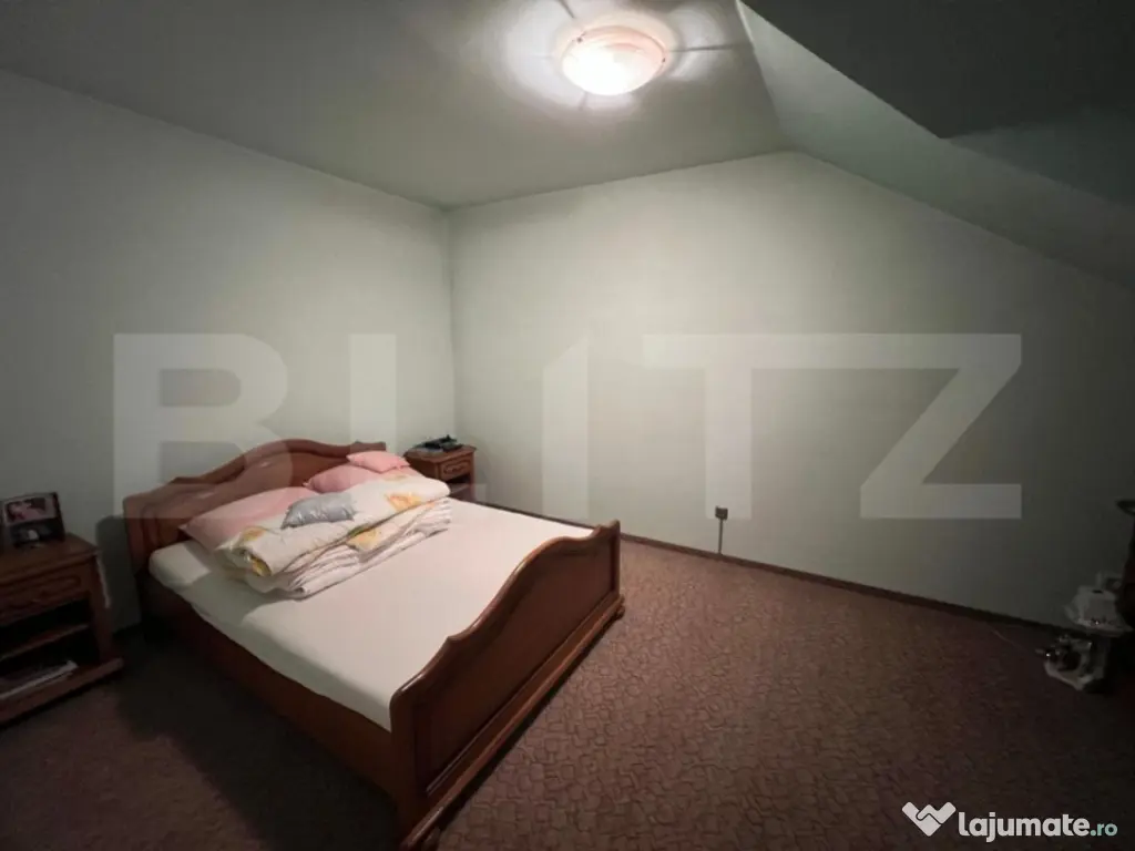 Proprietate Versatilă – zona Străzii Cloșca