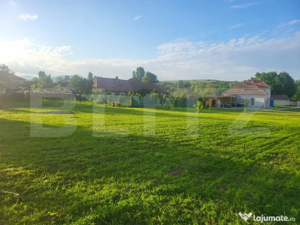 Casă cu 5 camere și spațiu comercial, teren 4079mp, zona - Teius (Alba)