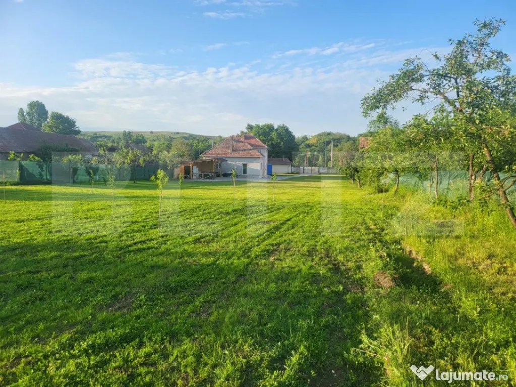 Casă cu 5 camere și spațiu comercial, teren 4079mp, zona - Teius (Alba)