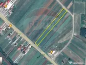 Teren 4 948 mp Bradesti / Racarii de Jos 