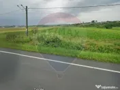 Teren 4 948 mp Bradesti / Racarii de Jos 