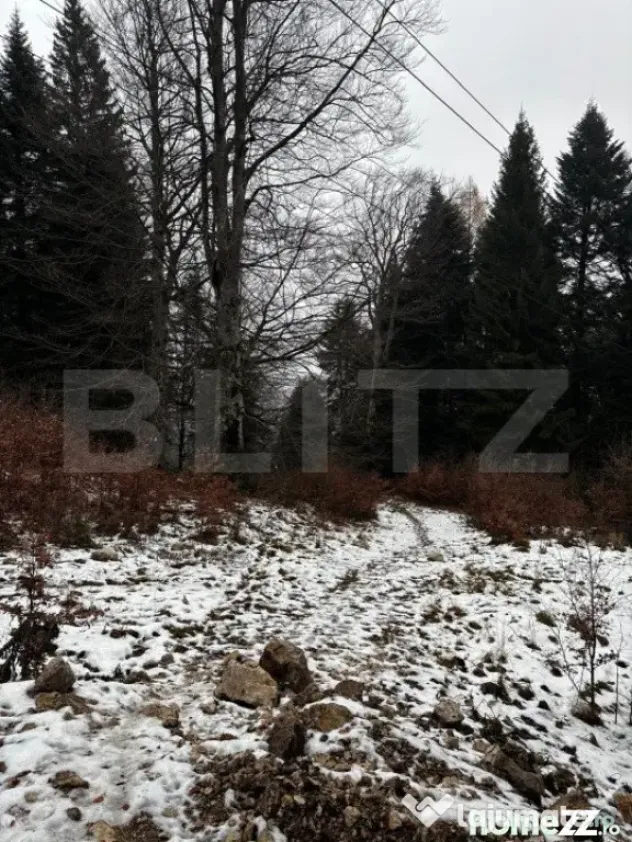 Teren unic, exclusivist 4000 mp, in inima muntilor, Sinaia - Sinaia (Prahova)