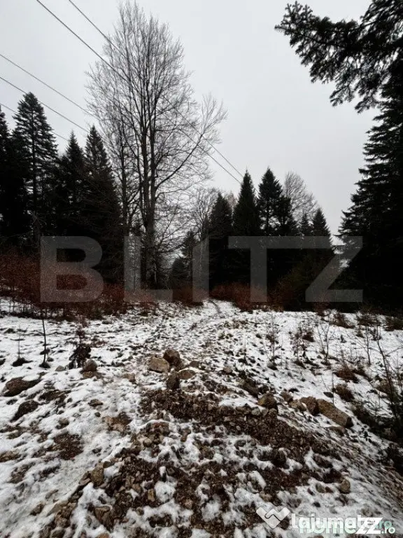 Teren unic, exclusivist 4000 mp, in inima muntilor, Sinaia - Sinaia (Prahova)
